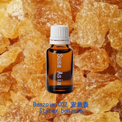 Benzoin CO2 - Styrax benzoin