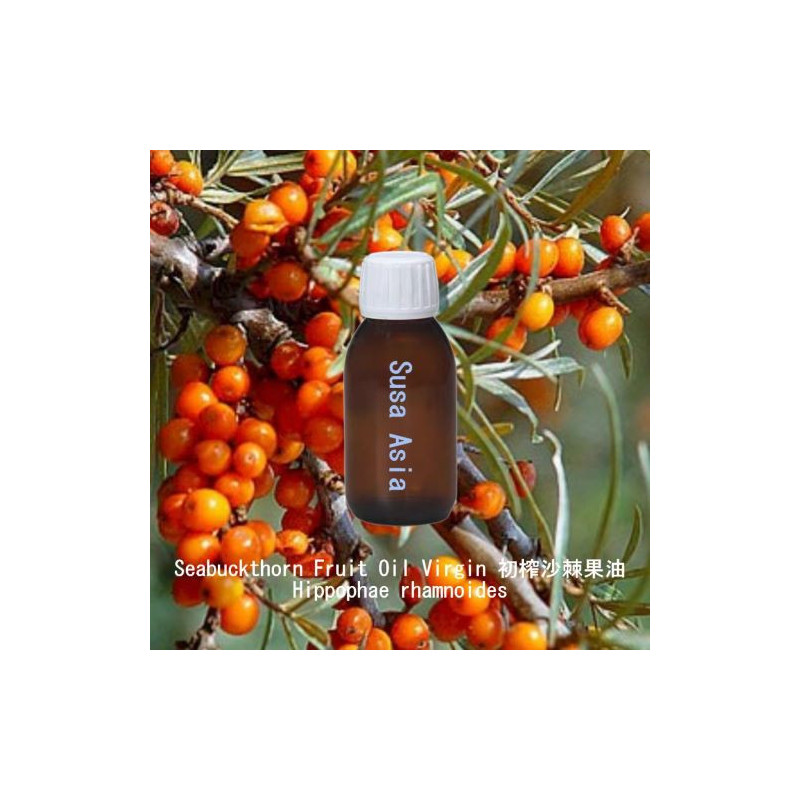 Seabuckthorn Fruit Oil Virgin 初榨沙棘果油
