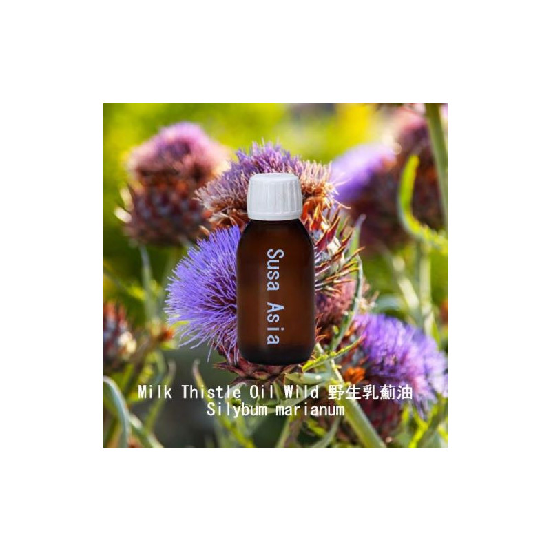 Milk Thistle Oil Wild - Silybum marianum