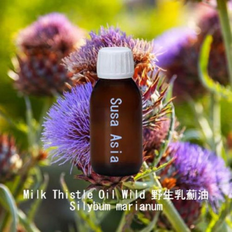 Milk Thistle Oil Wild - Silybum marianum