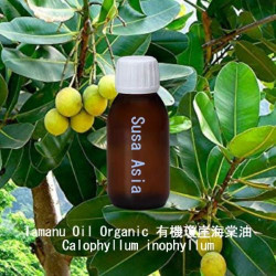 Tamanu Oil Organic - Calophyllum inophyllum