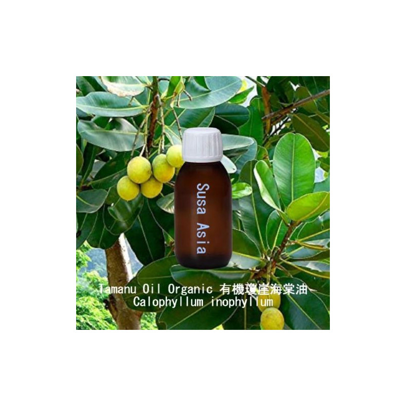 Tamanu Oil Organic - Calophyllum inophyllum