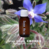 Borage Organic 有機琉璃苣油