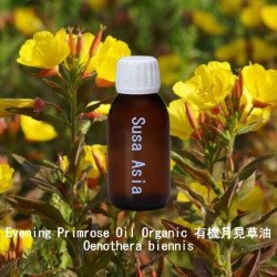 Evening Primrose Oil Organic - Oenothera biennis