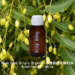 Neem Seed Virgin Organic - Azadirachta indica