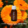 Calendula Infused Oil Organic - Calendula officinalis