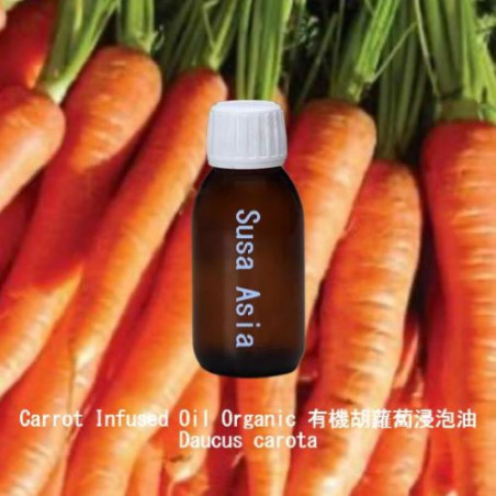 Carrot Infused Oil Organic - Daucus carota