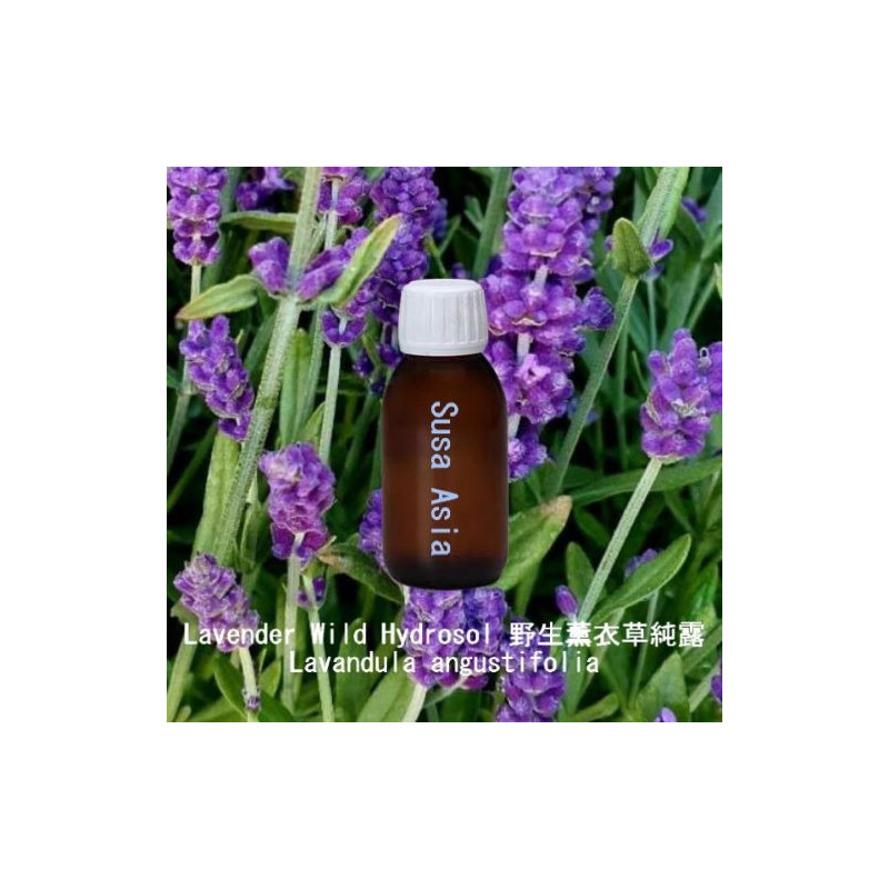 Lavender Wild Hydrosol - Lavandula angustifolia