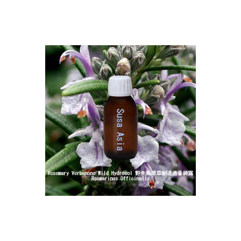 Rosemary Verbenone Wild Hydrosol - Rosmarinus Officinalis