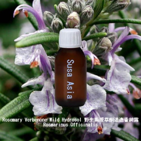Rosemary Verbenone Wild Hydrosol - Rosmarinus Officinalis