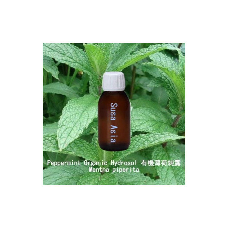 Peppermint Organic Hydrosol - Mentha piperita