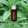 Peppermint Organic Hydrosol - Mentha piperita