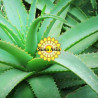 Aloe Vera butter 蘆薈脂