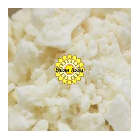 Sal Butter Wild - Shorea robusta