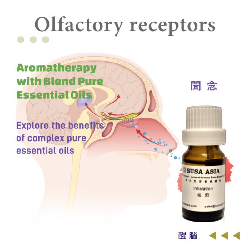 Inhalation_E8_Awakening (Alertness, Cognitive Support) Blend Pure Essential Oil