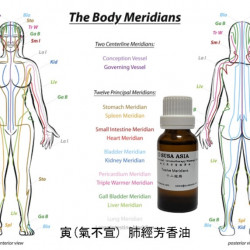 12M_MO0305_Yin (Impaired Lung Qi) Lung Meridian Aromatherapy Oil_20ml
