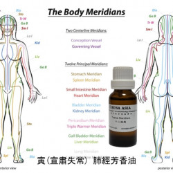 12M_MO0305_Yin (Disrupted Dispersing & Descending) Lung Meridian Aromatherapy Oil_20ml