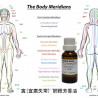 12M_MO0305_寅(宣肅失常) 肺經芳香油_20ml