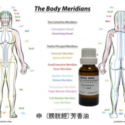 12M_MO1517_申 (膀胱經)芳香油_20ml