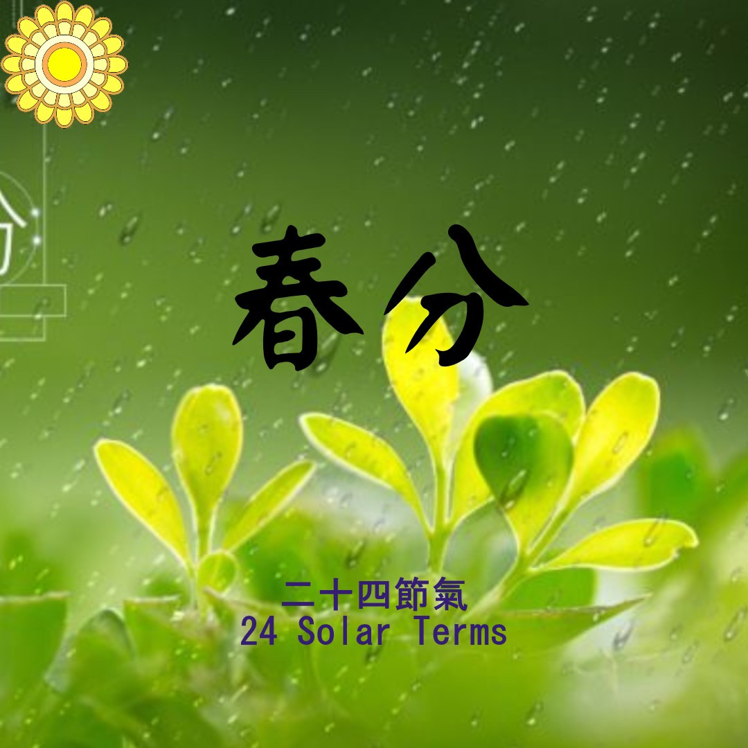 24 Solar Terms – Spring Equinox (The 4th Solar Term of Spring)