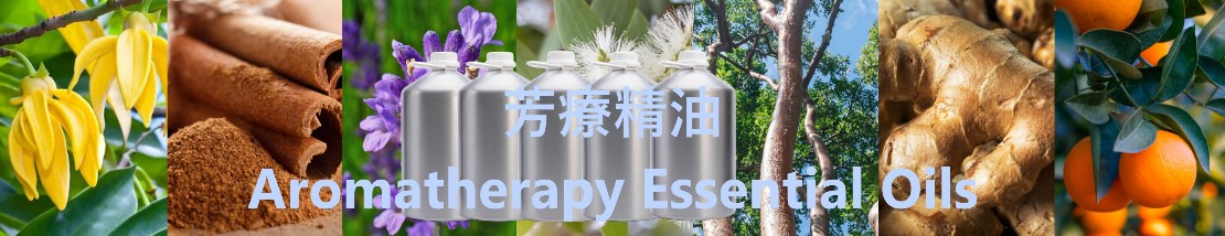 The power of aromatherapy essential oils